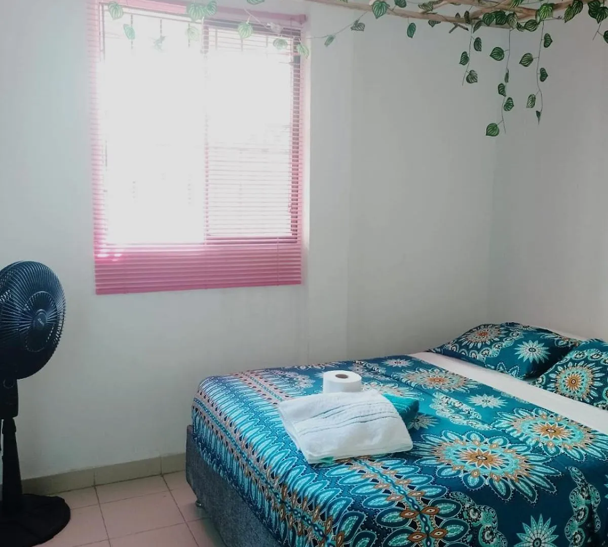 Sarac Hostel 1 Piso Cartagena Colombia